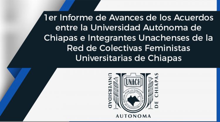 1er Informe de Avances